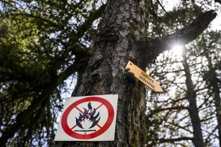 le risque d’incendie est désormais évalué entre 3 et 4 sur l’échelle cantonale – un niveau marqué à fort – dans la plupart des régions.(Photo d'illustration)
